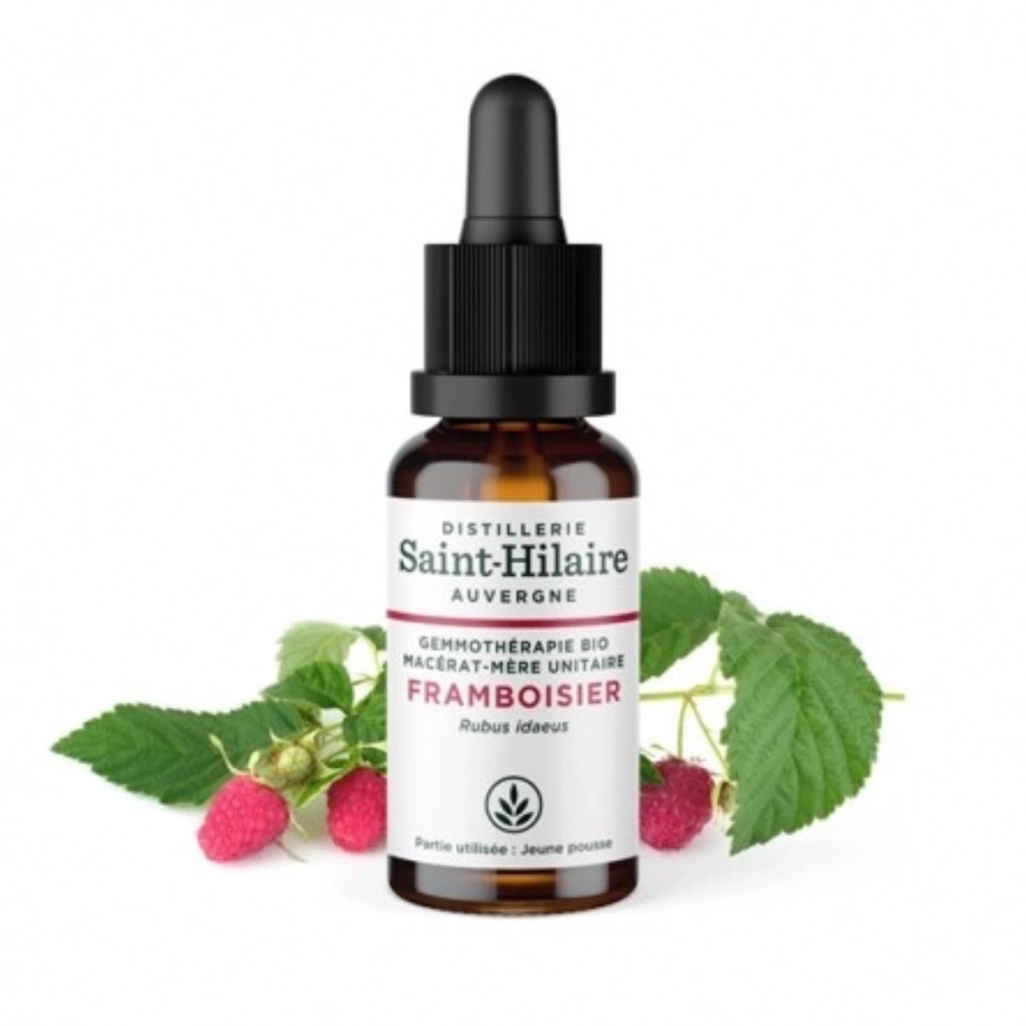 Framboise Gemmotherapie