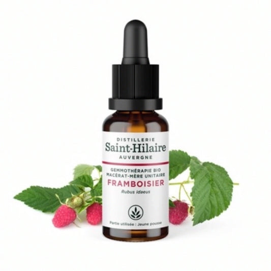 Framboise Gemmotherapie