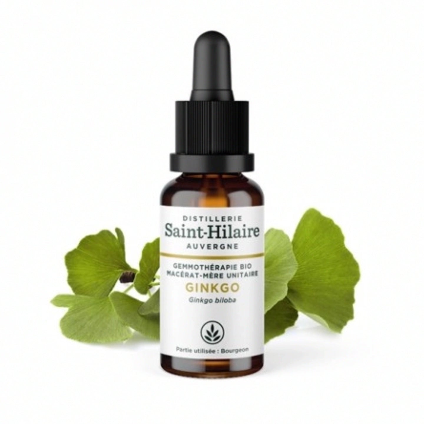 Ginkgo Gemmotherapie