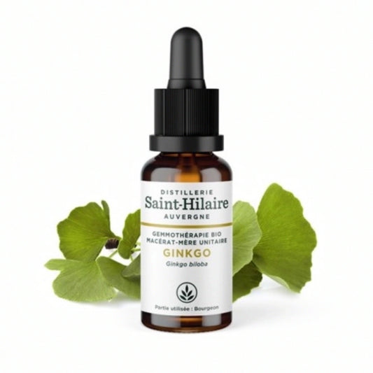 Ginkgo Gemmotherapie