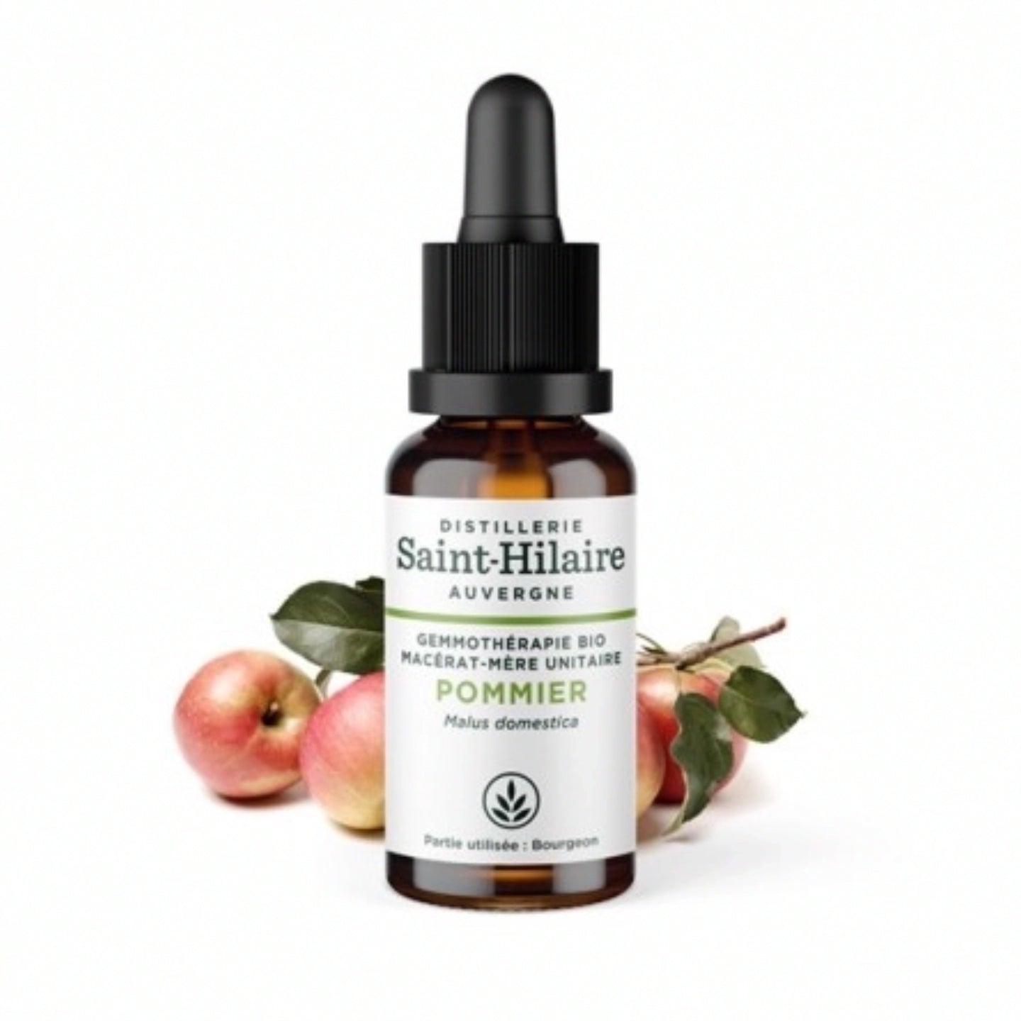 Pommier Gemmotherapie