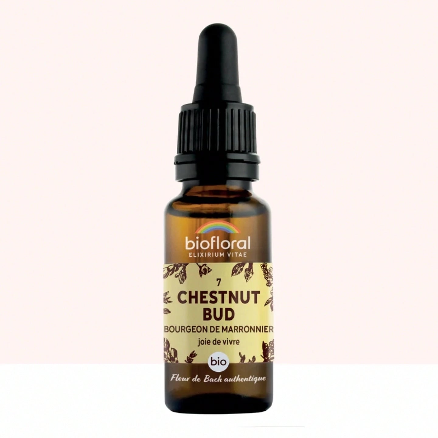Fleur de Bach n°07 Chestnut Bud, Bourgeons de Marronnier