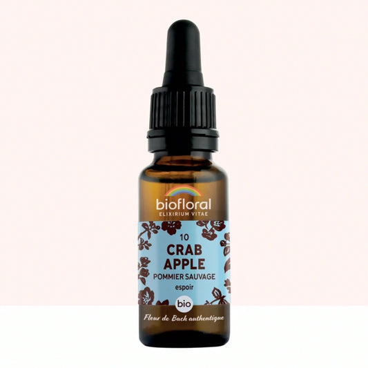 Fleur de Bach n°10 Crab Apple, Pommier Sauvage