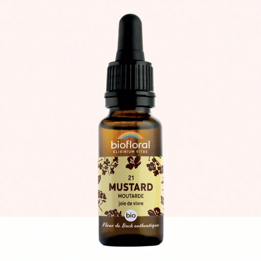 Fleur de Bach n°21 Mustard, Moutarde