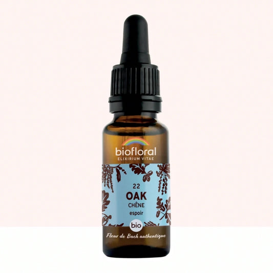 Fleur de Bach n°22 Oak, Chêne