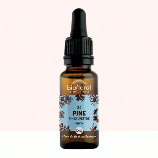 Fleur de Bach n°24 Pine, Pin Sylvestre