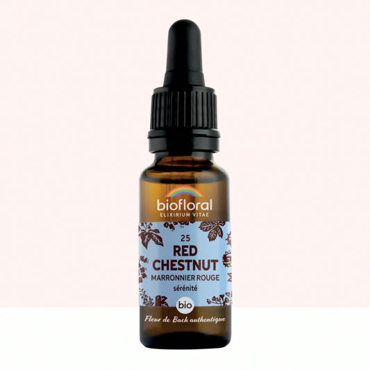 Fleur de Bach n°25 Red Chestnut, Marronnier Rouge