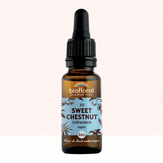 Fleur de Bach n°30 Sweet Chestnut, Châtaignier