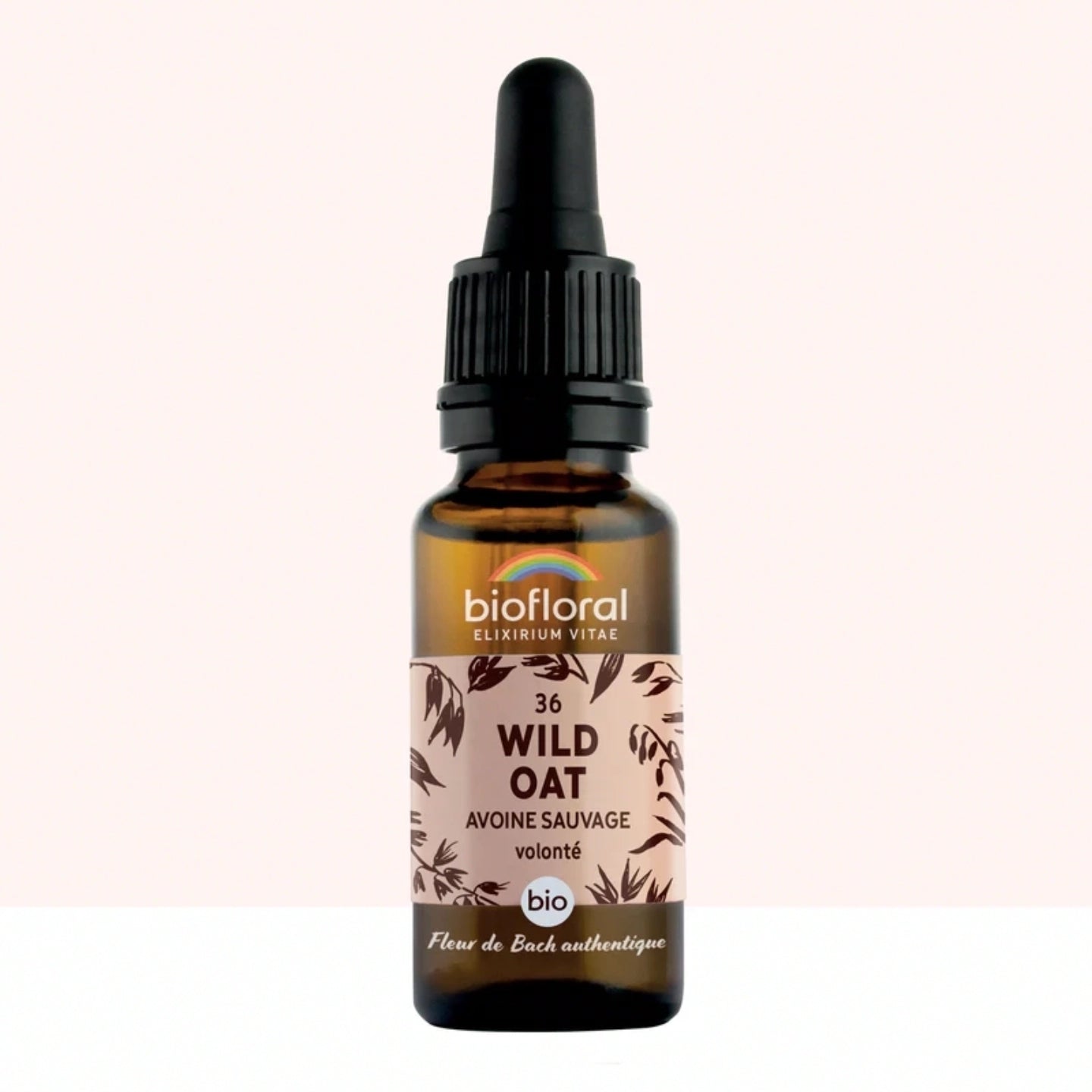 Fleur de Bach n°36 Wild Oat, Avoine Sauvage