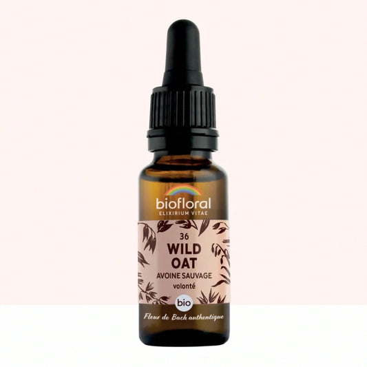 Fleur de Bach n°36 Wild Oat, Avoine Sauvage